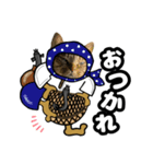 猫(キジトラ)日常可愛いスタンプ3（個別スタンプ：3）