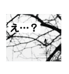 カラスで会話できるスタンプ（個別スタンプ：8）