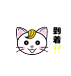 ニャンケル～ネコの日常単純スタンプ～（個別スタンプ：16）