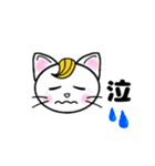 ニャンケル～ネコの日常単純スタンプ～（個別スタンプ：33）
