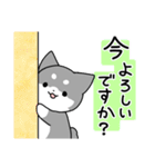 丁寧なくろしば 2（個別スタンプ：13）