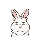 いろいろな表情のうさぎ（個別スタンプ：5）