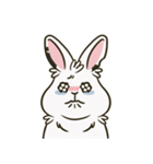 いろいろな表情のうさぎ（個別スタンプ：8）