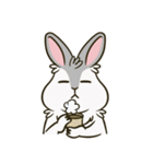 いろいろな表情のうさぎ（個別スタンプ：12）