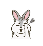 いろいろな表情のうさぎ（個別スタンプ：14）