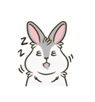 いろいろな表情のうさぎ（個別スタンプ：15）