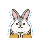 いろいろな表情のうさぎ（個別スタンプ：17）