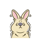 いろいろな表情のうさぎ（個別スタンプ：23）