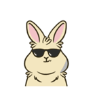 いろいろな表情のうさぎ（個別スタンプ：24）