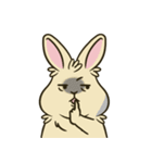 いろいろな表情のうさぎ（個別スタンプ：27）