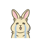 いろいろな表情のうさぎ（個別スタンプ：28）