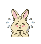 いろいろな表情のうさぎ（個別スタンプ：30）