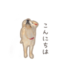 きなこのまいにち 1（個別スタンプ：23）