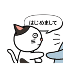 社長と猫のきょうだい（個別スタンプ：13）