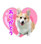 ベッピン揃い♥笑（個別スタンプ：3）