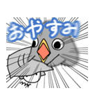 いきおいのあるとり（個別スタンプ：5）