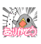 いきおいのあるとり（個別スタンプ：6）