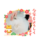 ティッシュたべるdog（個別スタンプ：11）