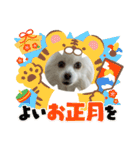 ティッシュたべるdog（個別スタンプ：15）