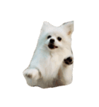 ティッシュたべるdog（個別スタンプ：20）
