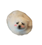 ティッシュたべるdog（個別スタンプ：32）