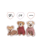 ♡。様（個別スタンプ：3）