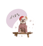 ♡。様（個別スタンプ：6）