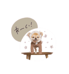 ♡。様（個別スタンプ：8）