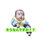 ひなりすたんぷ。5（個別スタンプ：13）