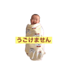 ひなりすたんぷ。5（個別スタンプ：15）