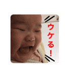 ひなりすたんぷ。5（個別スタンプ：19）