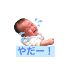 ひなりすたんぷ。5（個別スタンプ：24）