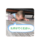 ひなりすたんぷ。5（個別スタンプ：35）