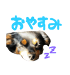 るぅと申します2（個別スタンプ：2）