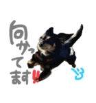 るぅと申します2（個別スタンプ：7）