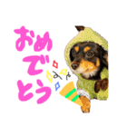 るぅと申します2（個別スタンプ：13）