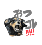 るぅと申します2（個別スタンプ：23）