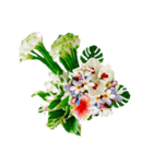 Alohaな花たち＋ありがとうの花束スタンプ（個別スタンプ：1）