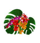 Alohaな花たち＋ありがとうの花束スタンプ（個別スタンプ：6）