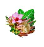 Alohaな花たち＋ありがとうの花束スタンプ（個別スタンプ：7）