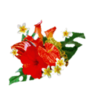 Alohaな花たち＋ありがとうの花束スタンプ（個別スタンプ：9）