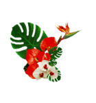 Alohaな花たち＋ありがとうの花束スタンプ（個別スタンプ：11）
