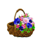Alohaな花たち＋ありがとうの花束スタンプ（個別スタンプ：20）