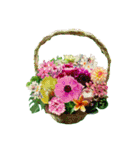 Alohaな花たち＋ありがとうの花束スタンプ（個別スタンプ：22）