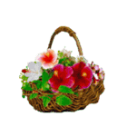 Alohaな花たち＋ありがとうの花束スタンプ（個別スタンプ：23）