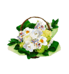 Alohaな花たち＋ありがとうの花束スタンプ（個別スタンプ：25）