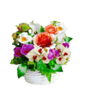 Alohaな花たち＋ありがとうの花束スタンプ（個別スタンプ：26）