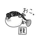 魚好き★釣り好き リアルお魚スタンプ（個別スタンプ：8）