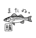 魚好き★釣り好き リアルお魚スタンプ（個別スタンプ：12）