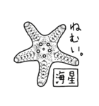 魚好き★釣り好き リアルお魚スタンプ（個別スタンプ：13）